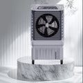 RADO 20"
